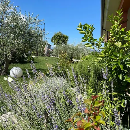 Azienda Agricola Ponterotto * Mirabella Eclano