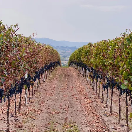 Azienda Agricola Ponterotto Bed & Breakfast *