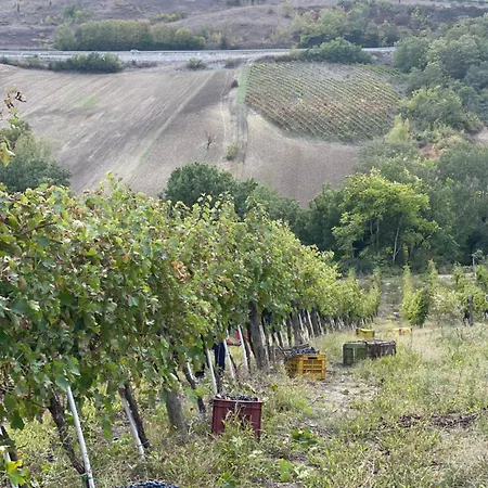 Bed & Breakfast Azienda Agricola Ponterotto Mirabella Eclano
