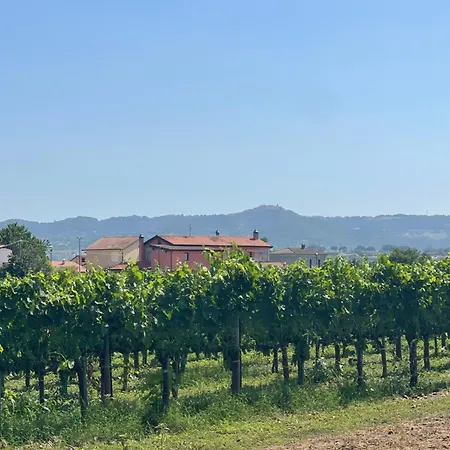 Azienda Agricola Ponterotto *