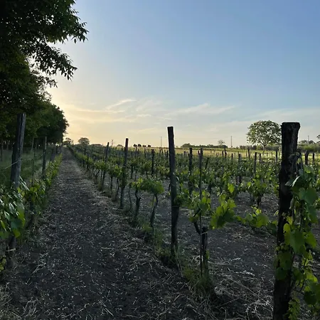 Azienda Agricola Ponterotto * Mirabella Eclano
