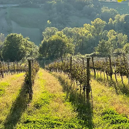 Bed & Breakfast Azienda Agricola Ponterotto