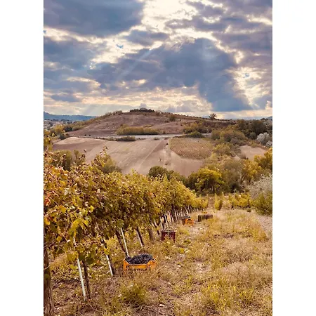 Azienda Agricola Ponterotto Mirabella Eclano
