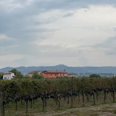 Azienda Agricola Ponterotto Bed & Breakfast *